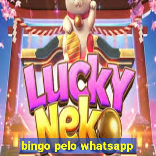 bingo pelo whatsapp