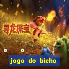 jogo do bicho crash bingo