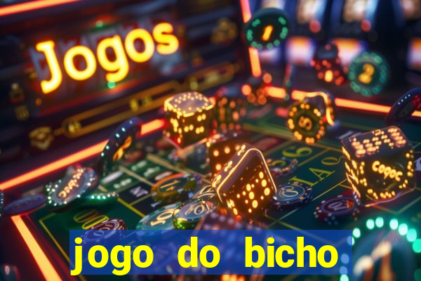 jogo do bicho crash bingo