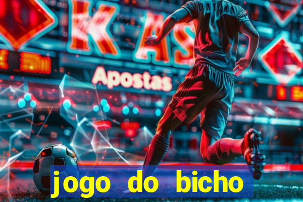 jogo do bicho crash bingo