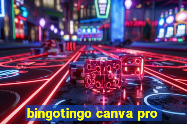 bingotingo canva pro