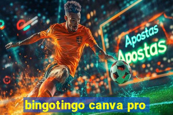 bingotingo canva pro