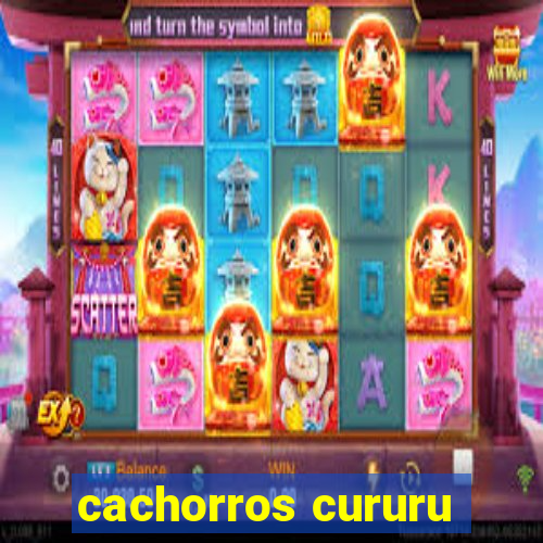 cachorros cururu