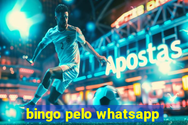 bingo pelo whatsapp