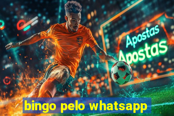 bingo pelo whatsapp