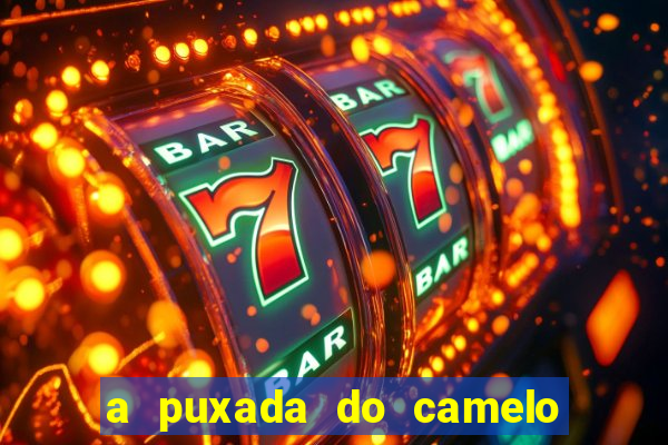 a puxada do camelo no jogo do bicho