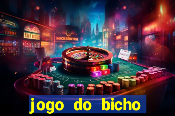 jogo do bicho crash bingo