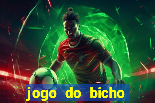 jogo do bicho crash bingo