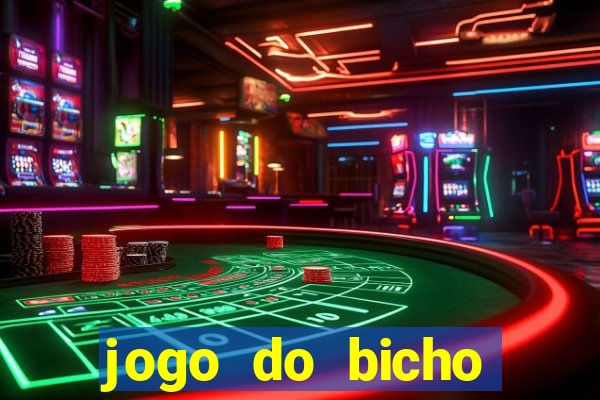 jogo do bicho crash bingo