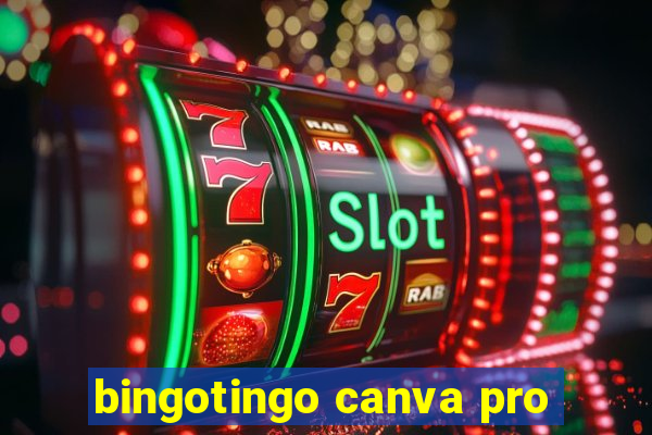 bingotingo canva pro