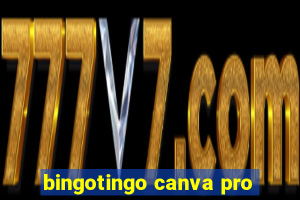 bingotingo canva pro