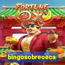 bingosobreoeca