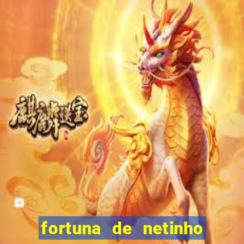 fortuna de netinho de paula