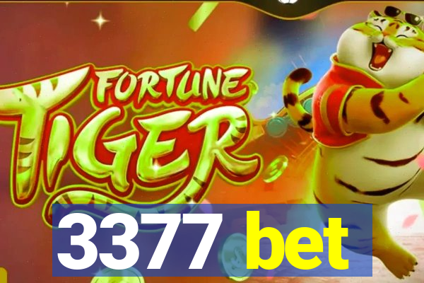 3377 bet